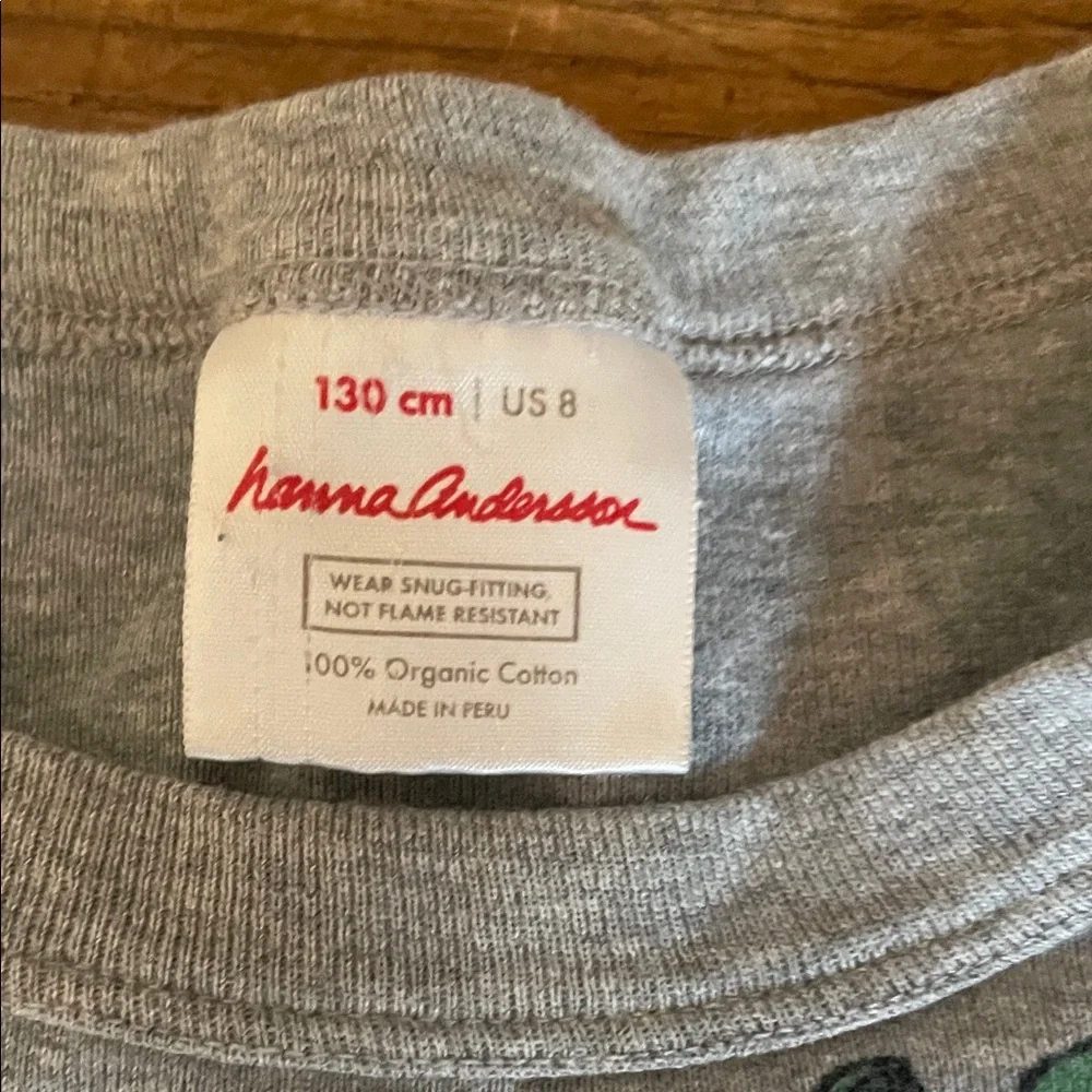 Hanna Andersson Green Dinosaur Pajama Set